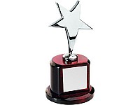 Награда «Звезда» на постаменте Silver